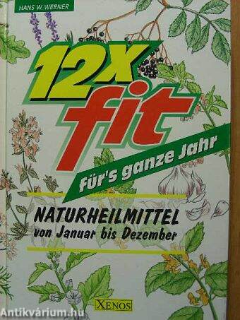 12x fit für's ganze Jahr