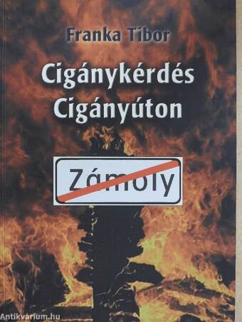 Cigánykérdés cigányúton