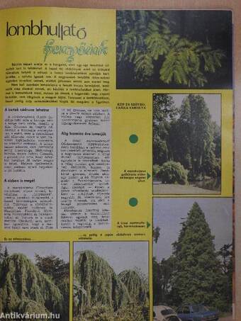 Kertbarát Magazin 1977-1999. (vegyes számok) (29 db)