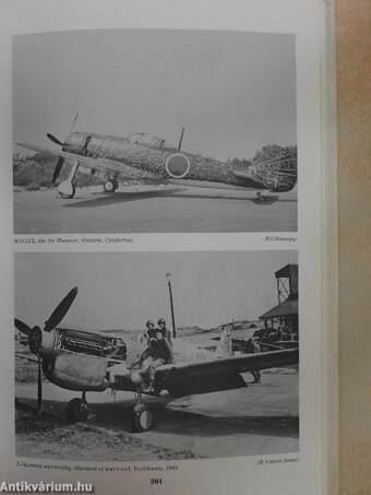 Japanese Army Air Force Camouflage and Markings World War II