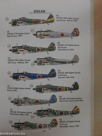 Japanese Army Air Force Camouflage and Markings World War II