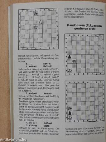 Spielend Schach lernen