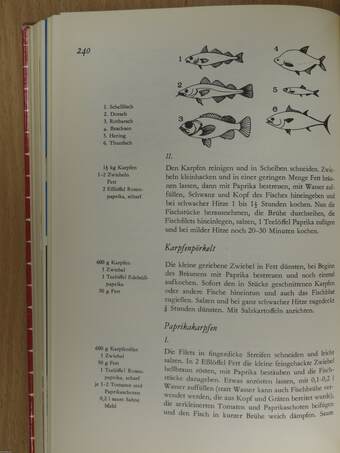 Ungarische Küche für jedermann