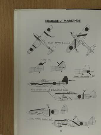 Japanese Army Air Force Camouflage and Markings World War II