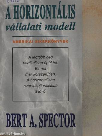 A horizontális vállalati modell