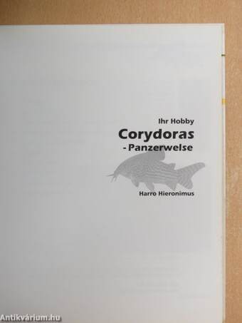 Corydoras-Panzerwelse