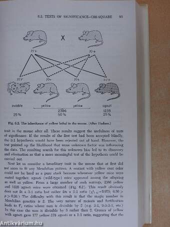 An Introduction to Genetics