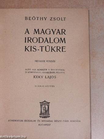 A magyar irodalom kis-tükre