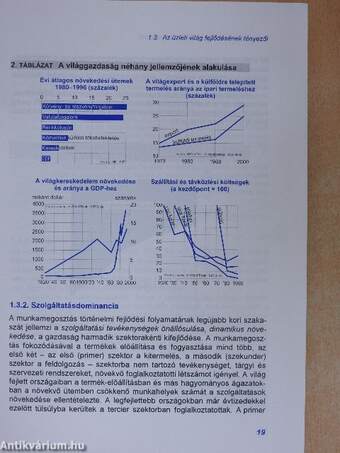 Vállalati gazdálkodás az európai integrációban