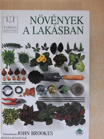 Növények a lakásban