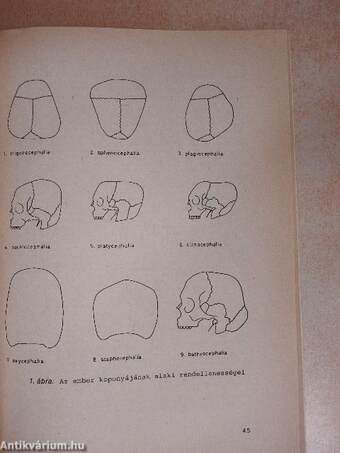 Gyógypedagógiai iskola-egészségügyi tanulmányok