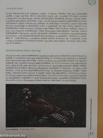 Natúrázzunk! Natura 2000 kézikönyv zöld óvodapedagógusoknak - Dél-Alföld régió