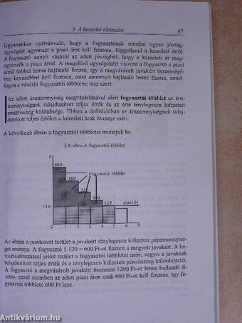 Közgazdaságtan I-II.