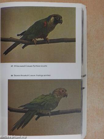 The Handbook of Cage and Aviary Birds