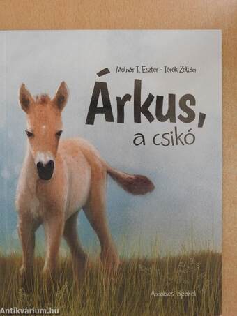 Árkus, a csikó