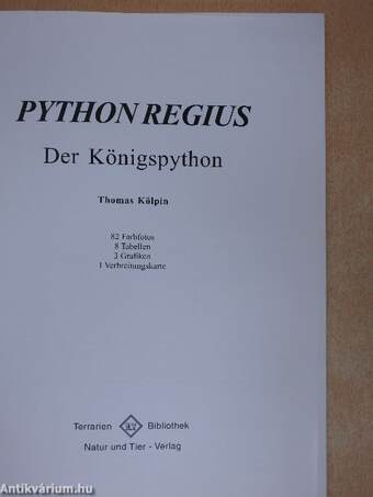 Python regius-Der Königspython