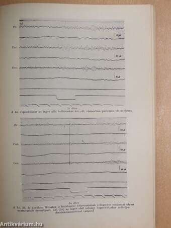 Magyar Pszichológiai Szemle 1967/1.