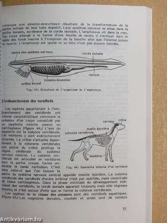 Biologie II.