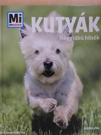 Kutyák