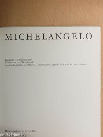 Michelangelo - Lemezzel