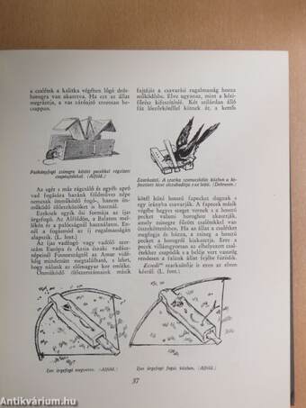 A magyarság néprajza II.