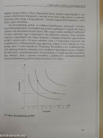 A társadalmi cselekvés mechanizmusai