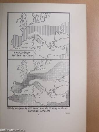 Egyetemes történet I.