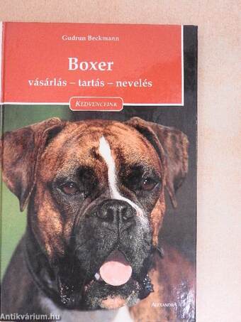 Boxer