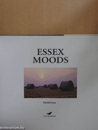 Essex Moods