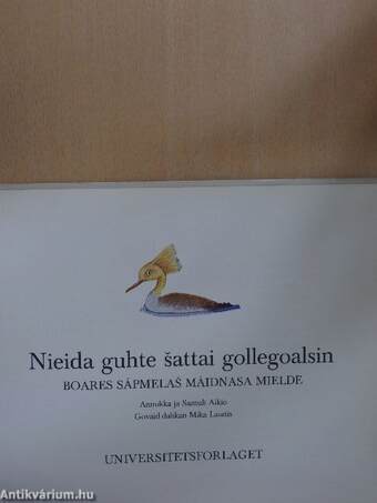 Nieida guhte sattai gollegoalsin