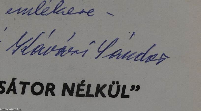 "Túri vásár sátor nélkül" (dedikált példány)