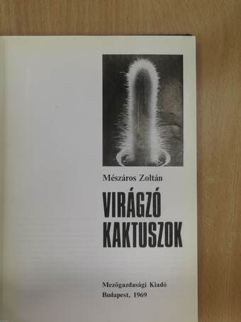 Virágzó kaktuszok