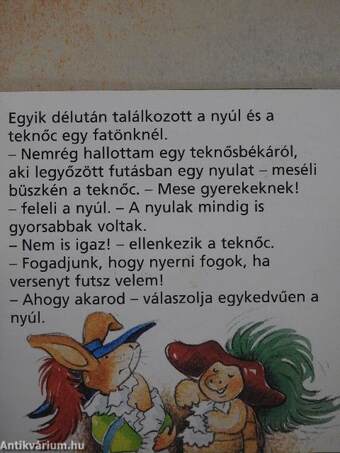 A nyúl és a teknőc futóversenye