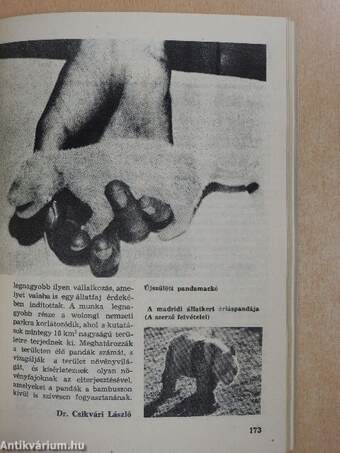 Az Élet és Tudomány Kalendáriuma 1986