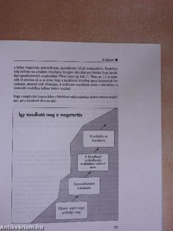 Sikeres tanfolyamok és szemináriumok