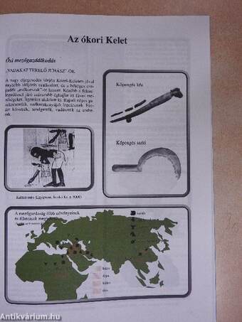 Földanyai gondok - Történelem