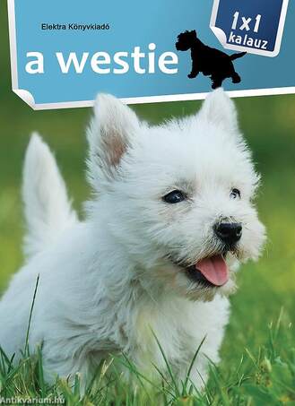 1x1 - A westie