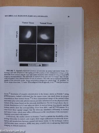 Reactive Oxygen Species: From Radiation to Molecular Biology