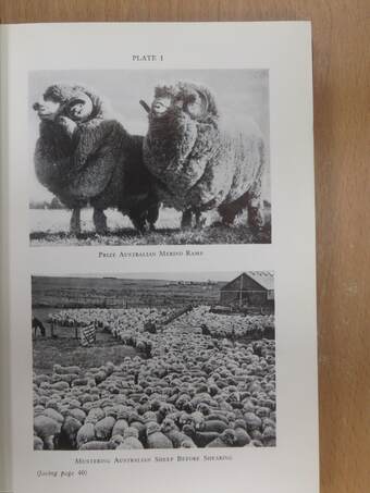 The British Wool Manual