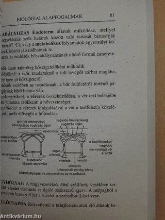 Biológiai alapfogalmak