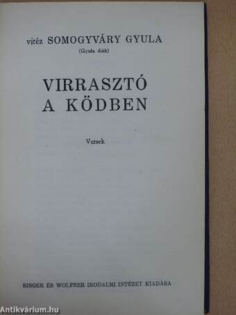 Virrasztó a ködben