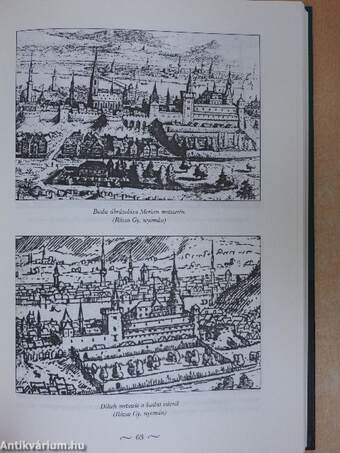 Magyar reneszánsz kertek a XVI-XVII. században