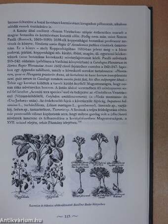 Magyar reneszánsz kertek a XVI-XVII. században