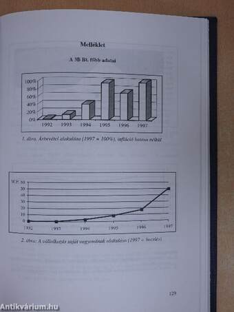 Vállalati esettanulmányok 1.