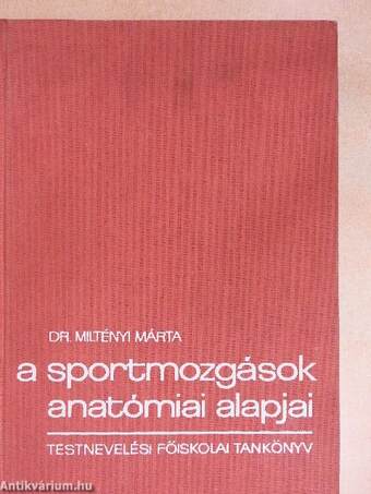 A sportmozgások anatómiai alapjai I.