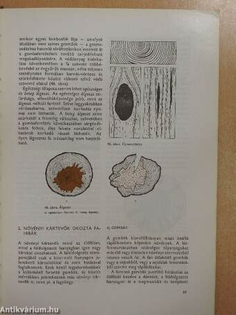 Faipari anyag- és gyártásismeret