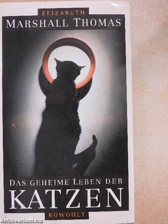 Das geheime Leben der Katzen