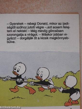 Donald kacsa, mint hegymászó