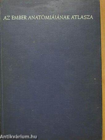 Az ember anatómiájának atlasza I. (töredék)