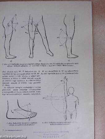 Az orthopaedia tankönyve